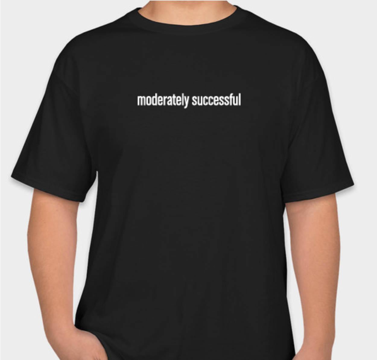 Moderately Successful Tee (Mens)